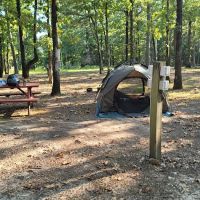 CMA - Iron Mountain Camp & Cabins ico