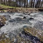 Fancy Hill Campground