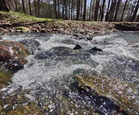 Fancy Hill Campground