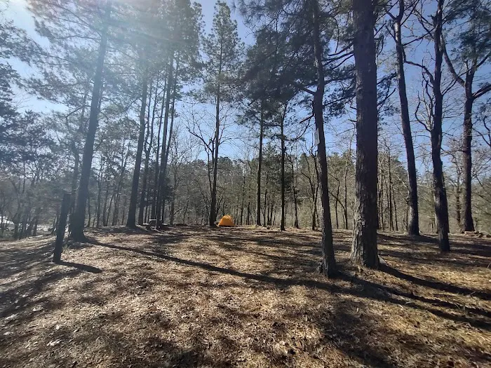 Fancy Hill Campground Picture 8