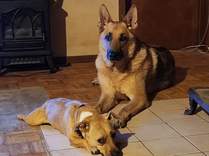 ScrappyJax Picture 1