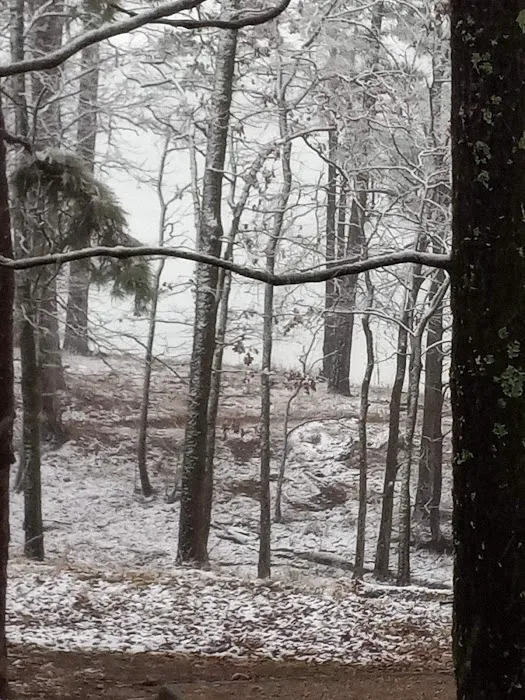 Alpine Ridge Picture 2