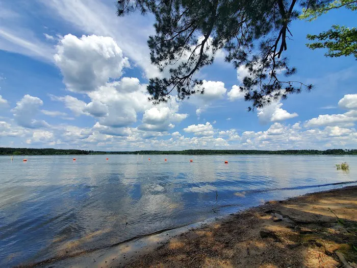 Alpine Ridge Picture 6