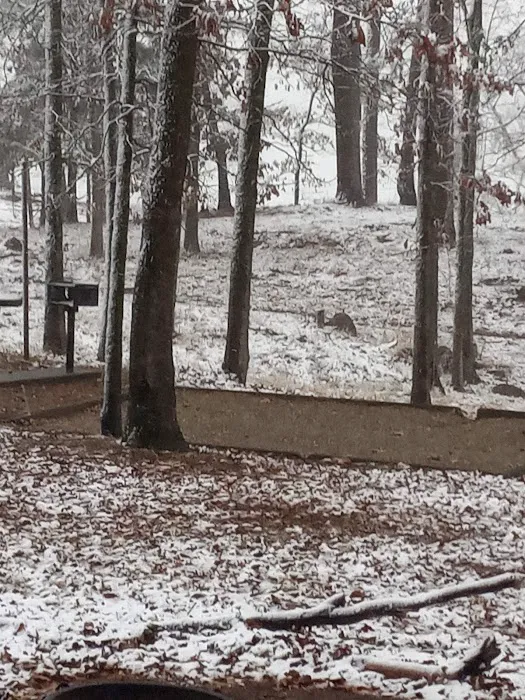 Alpine Ridge Picture 1