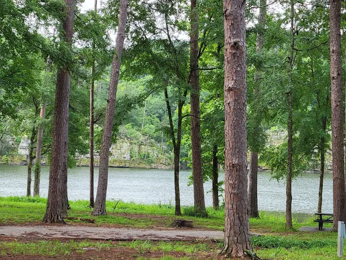 Point Cedar Campground Picture 3