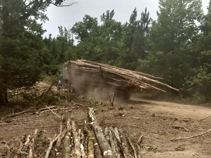Brushy Creek Campground Picture 2