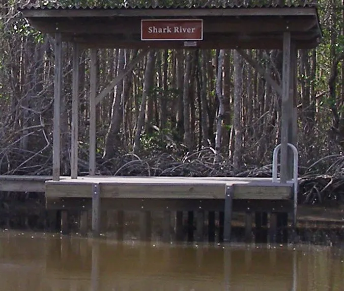 Shark River Chickee Picture 6