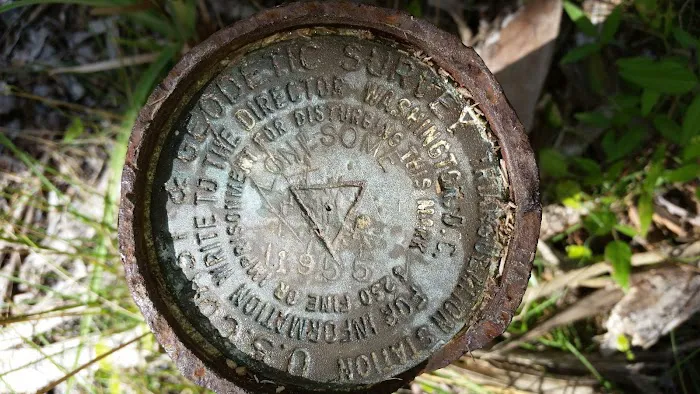 Camp Lonesome Picture 1