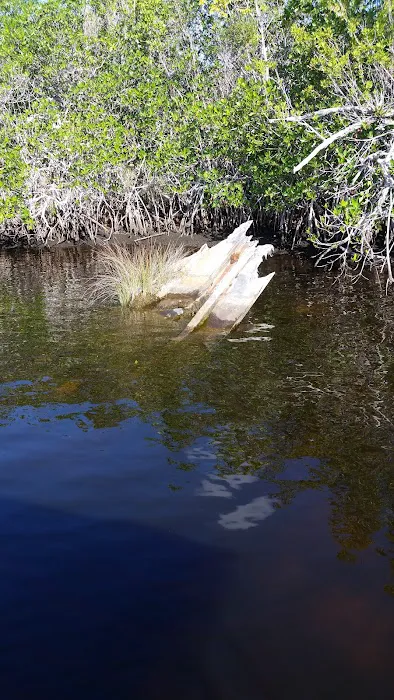 Camp Lonesome Picture 3