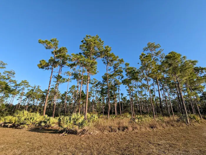 Long Pine Key Campground Picture 1