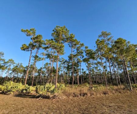 Long Pine Key Campground