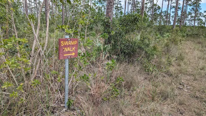 Camp Everglades (BSA) Picture 7