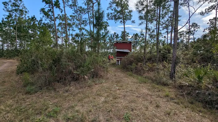 Camp Everglades (BSA) Picture 2
