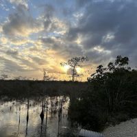 Ernest Coe Campground ico