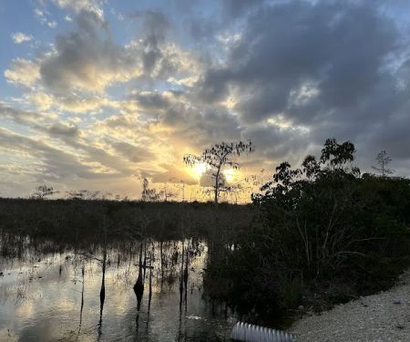 Ernest Coe Campground
