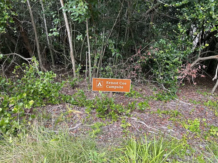 Ernest Coe Campground Picture 4