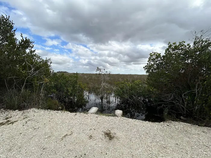 Ernest Coe Campground Picture 2