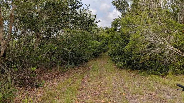 Ernest Coe Campground Picture 6