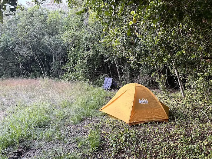 Ernest Coe Campground Picture 3