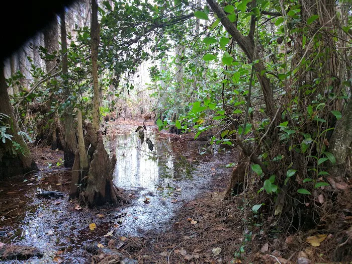 Ernest Coe Campground Picture 9