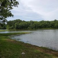 Lake Claude Bennett ico