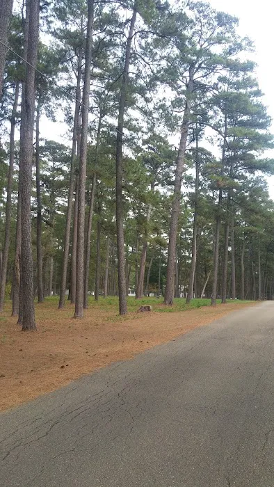 US Forestry Department Picture 1