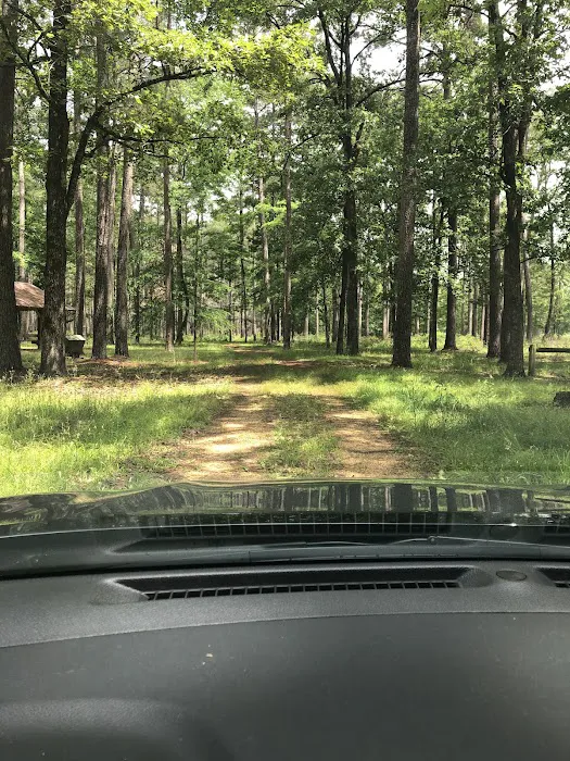 Shockaloe Base Camp I Picture 5