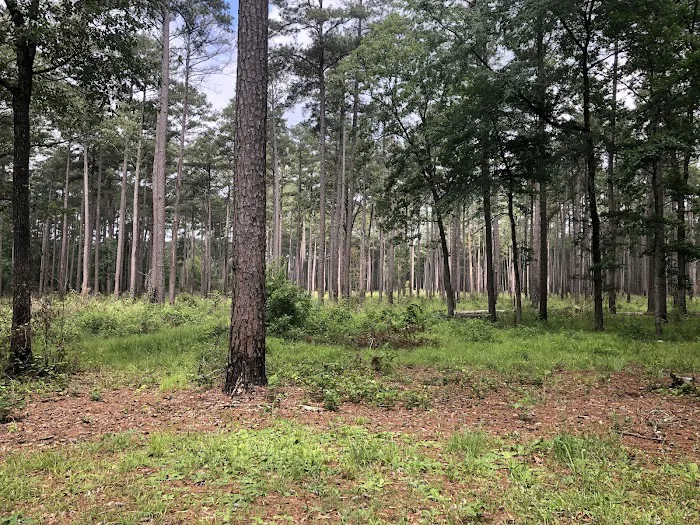 Shockaloe Base Camp I Picture 1