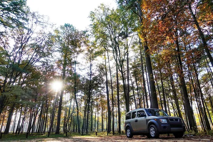 Shockaloe Base Camp I Picture 2