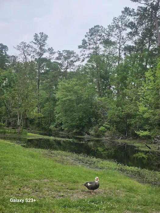 Indian Creek Campground Picture 10