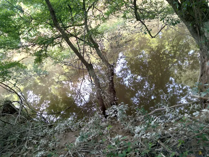 J & W Campground Picture 8