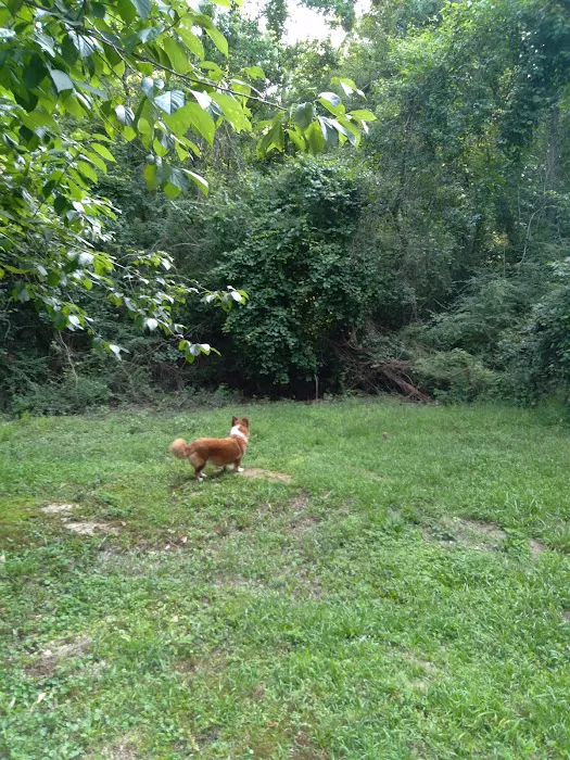 J & W Campground Picture 10