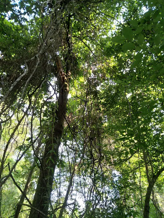 J & W Campground Picture 5