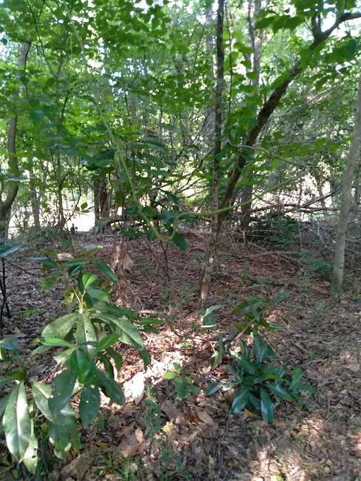 J & W Campground Picture 3