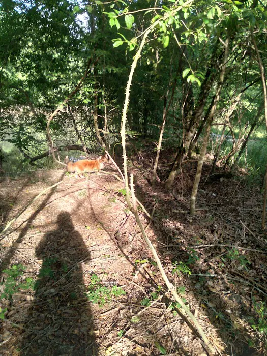 J & W Campground Picture 2