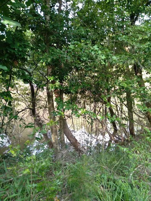 J & W Campground Picture 4