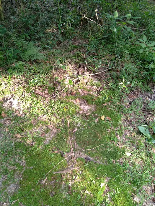 J & W Campground Picture 7