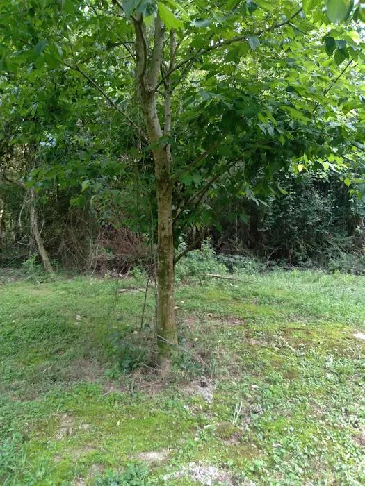 J & W Campground Picture 9