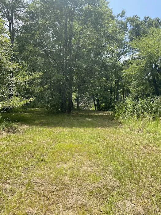 Tickfawriver cabin resort Picture 5