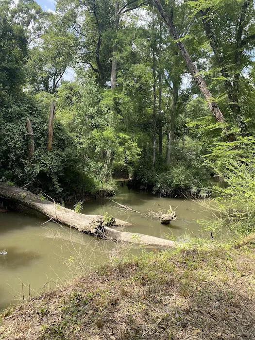 Tickfawriver cabin resort Picture 6