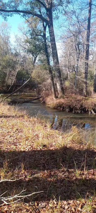 Tickfawriver cabin resort Picture 10