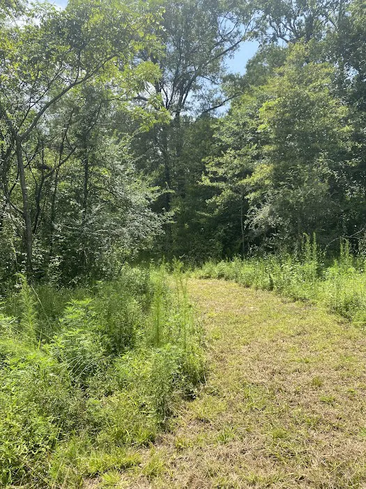 Tickfawriver cabin resort Picture 7