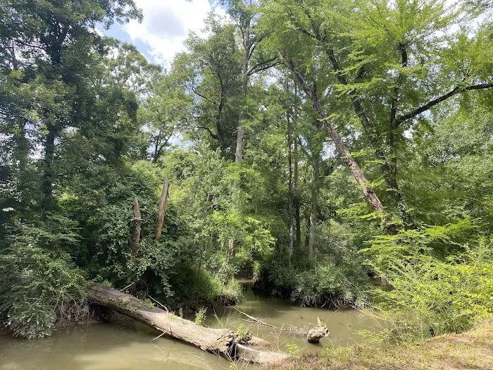 Tickfawriver cabin resort Picture 4