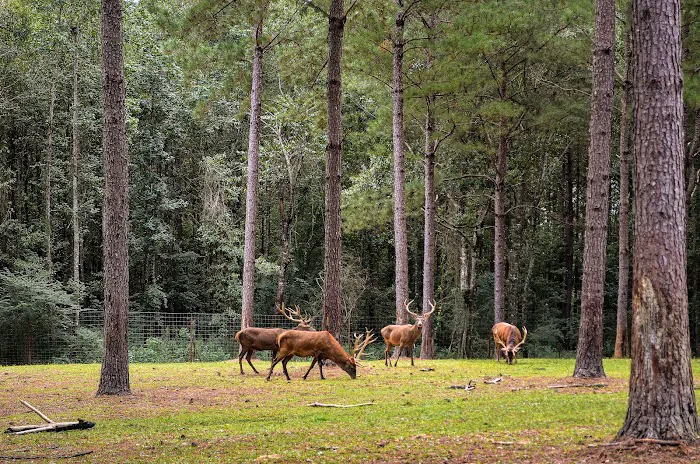 Paradise Ranch RV Resort Picture 8