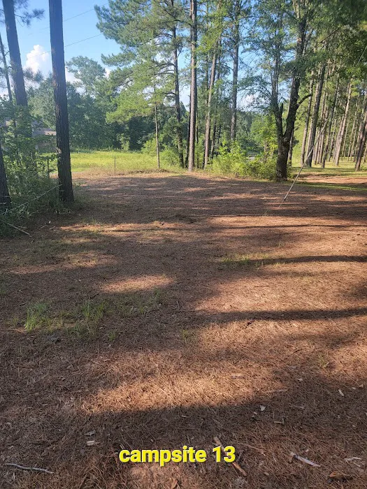 Missihippie Camping and Berries Picture 1