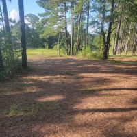 Missihippie Camping and Berries ico