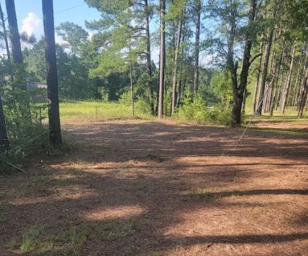 Missihippie Camping and Berries