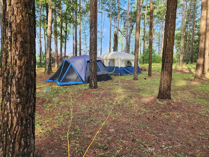 Missihippie Camping and Berries Picture 4