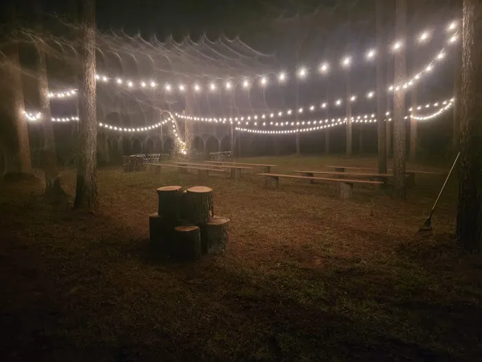 Missihippie Camping and Berries Picture 8