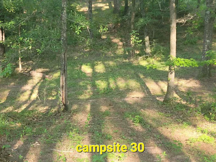 Missihippie Camping and Berries Picture 9